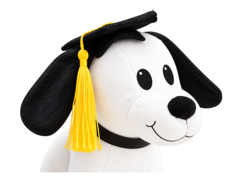 Knuffelhond met afstudeerhoed bij de gratis puppycursus