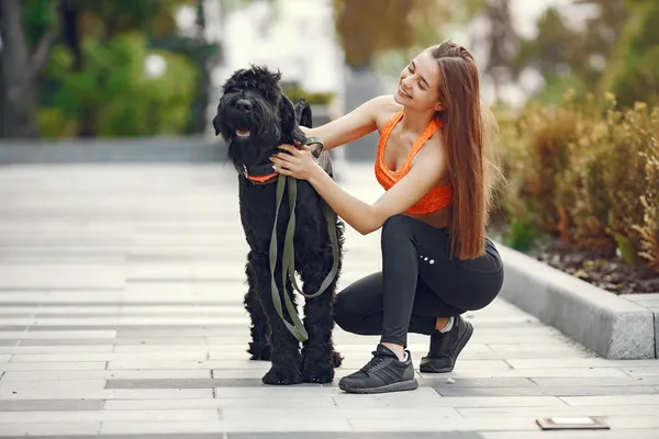 Zwart-Russische Terrier met vrouw aan de riem in de stad
