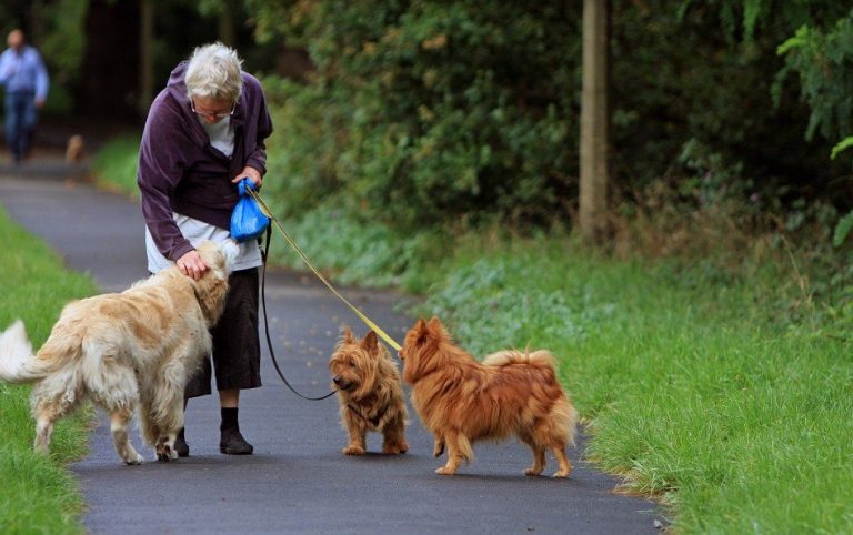 Vrouw staat met haar honden op een wandelpad