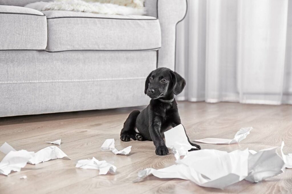 Pup zit tussen verscheurd papier in de woonkamer