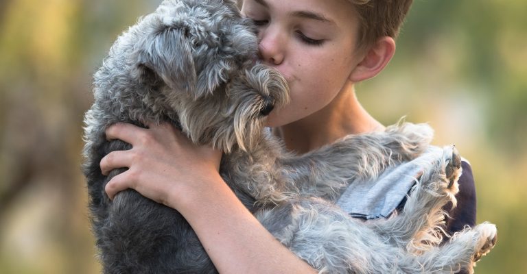 Kind knuffelt een kleine ruwharige hond