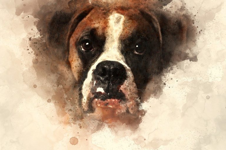 Artistiek hondenportret als voorbeeld van een afdruk