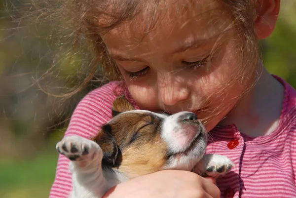 Meisje houdt een kleine hond tegen zich aan