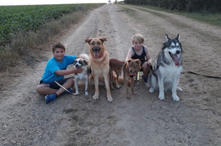 Kinderen met hun adoptiehonden op een wandelpad