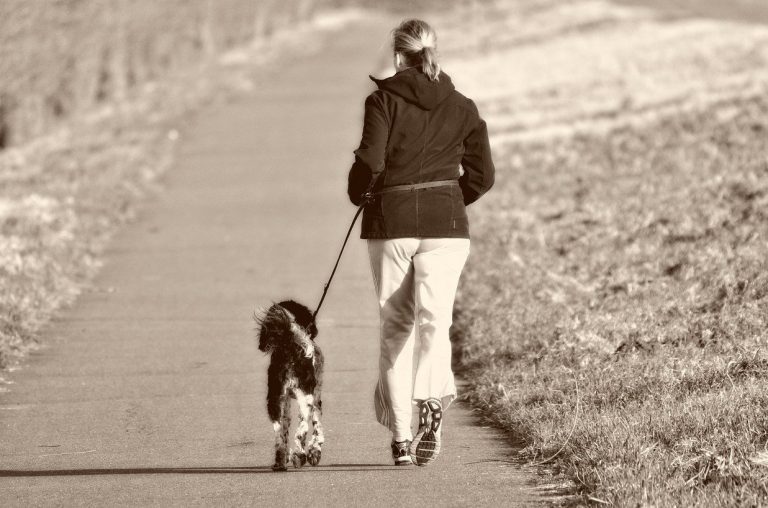 Persoon wandelt met een aangelijnde hond