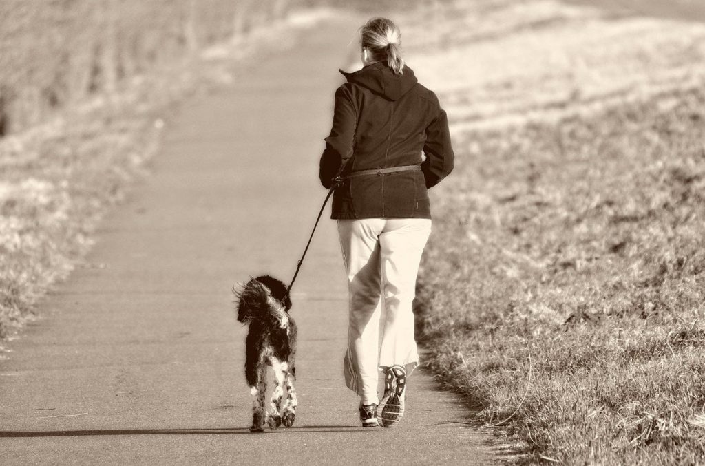 Persoon wandelt met een aangelijnde hond