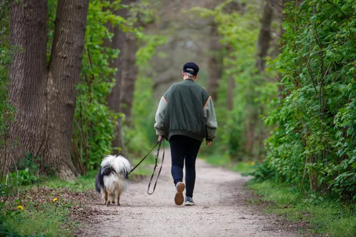 Persoon wandelt met een aangelijnde hond over een bospad