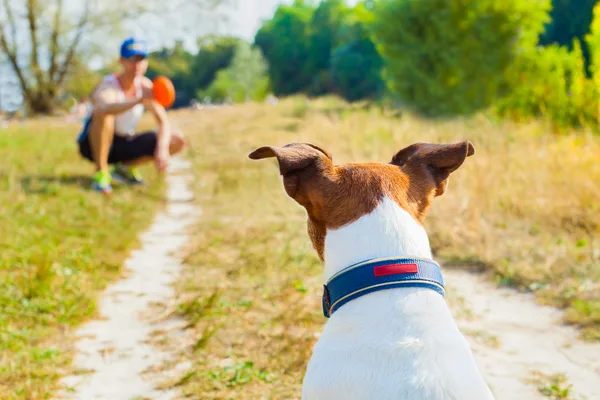 Hond kijkt naar een gehurkt baasje op een wandelpad