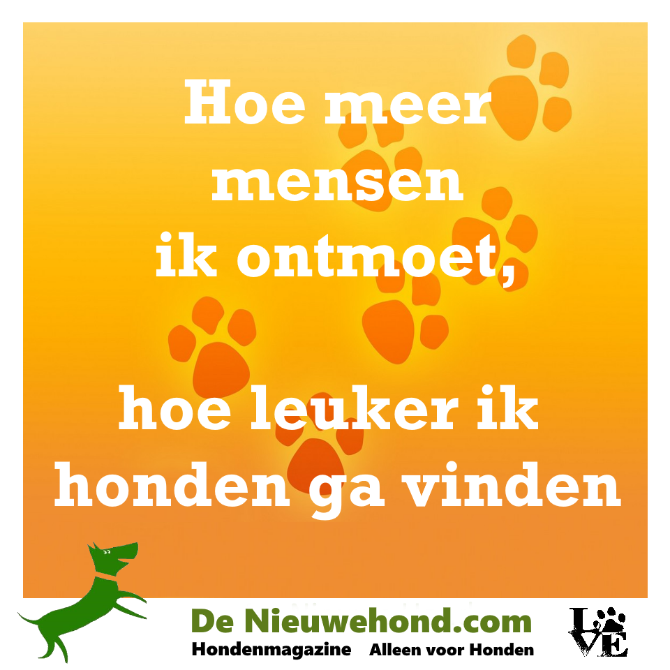 Spreuk over mensen ontmoeten en van honden houden