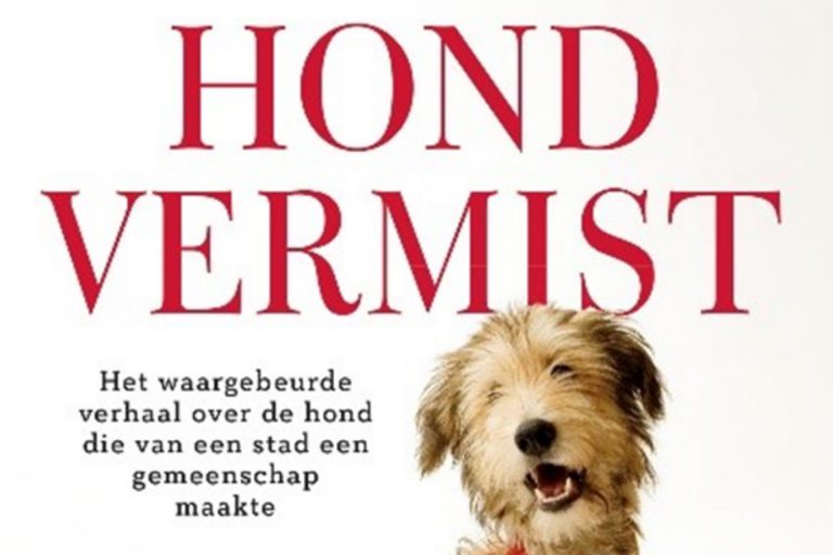 Omslag van Hond vermist van Kate Spicer