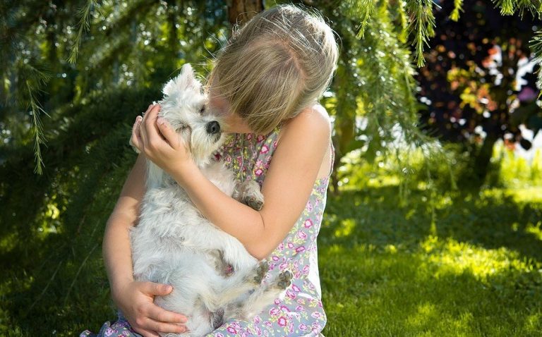 Kind knuffelt een kleine hond