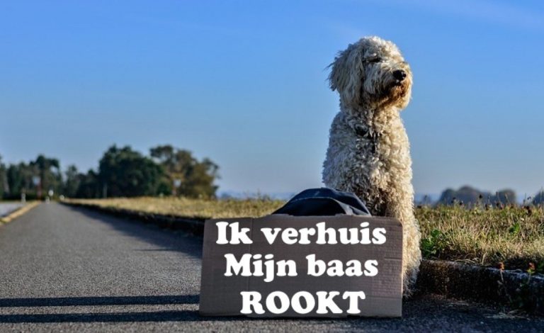 Hond naast een bord over passief roken