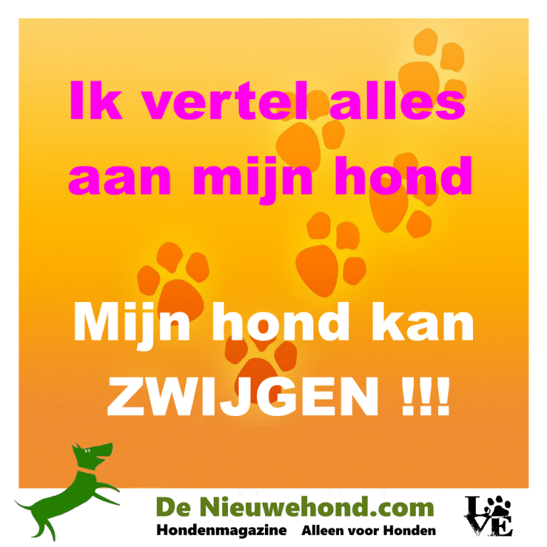 Spreuk over alles aan je hond vertellen