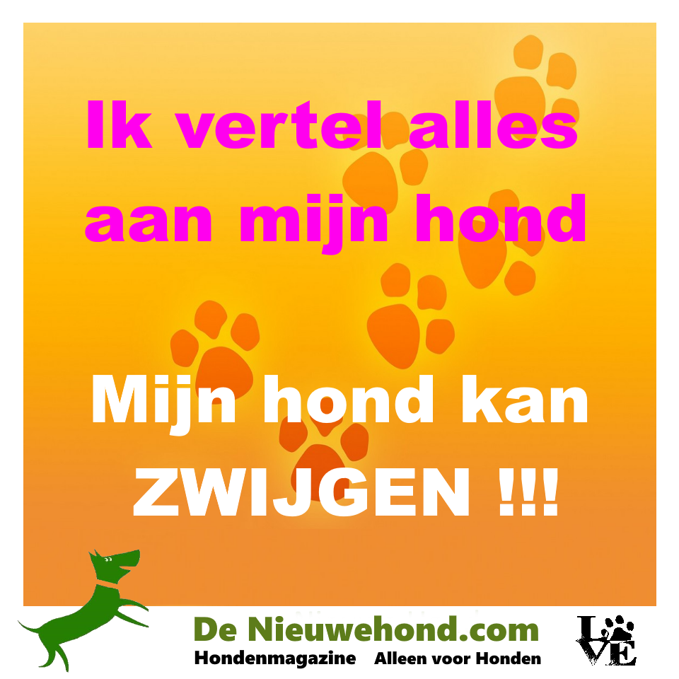 Spreuk over alles aan je hond vertellen