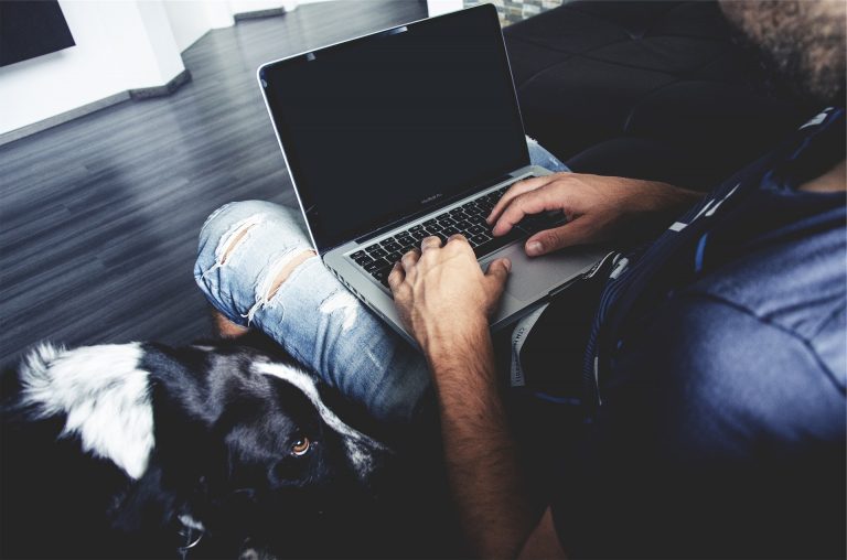 Hond ligt naast iemand die op een laptop werkt
