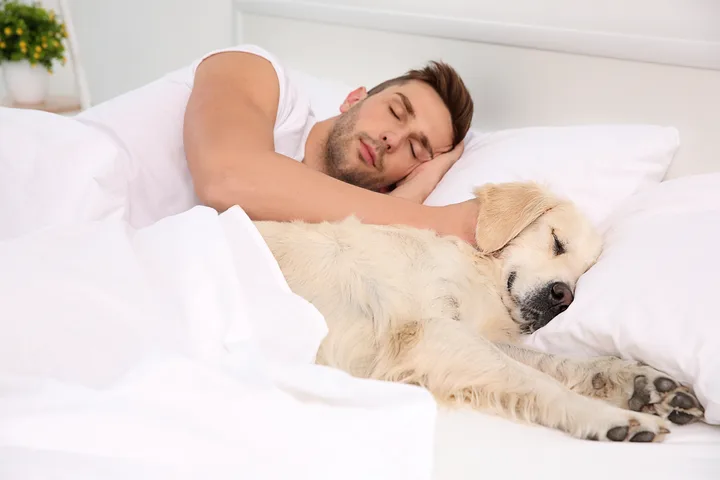 Man en hond liggen samen in bed