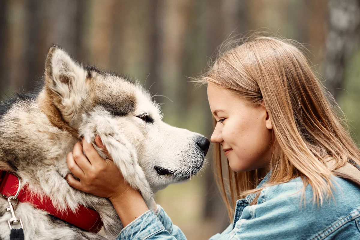 Meisje naast een grote grijs-witte hond in het bos