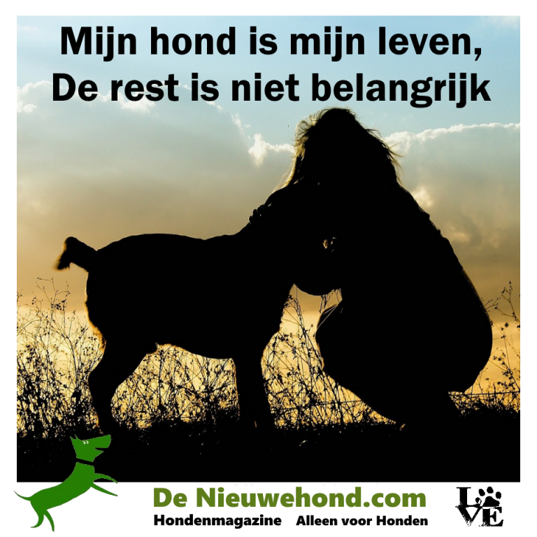 Spreuk: mijn hond is mijn leven