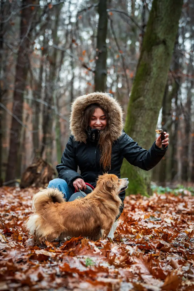 Vrouw zit tijdens een herfstwandeling in het bos naast haar bruinharige hond aan de lijn.