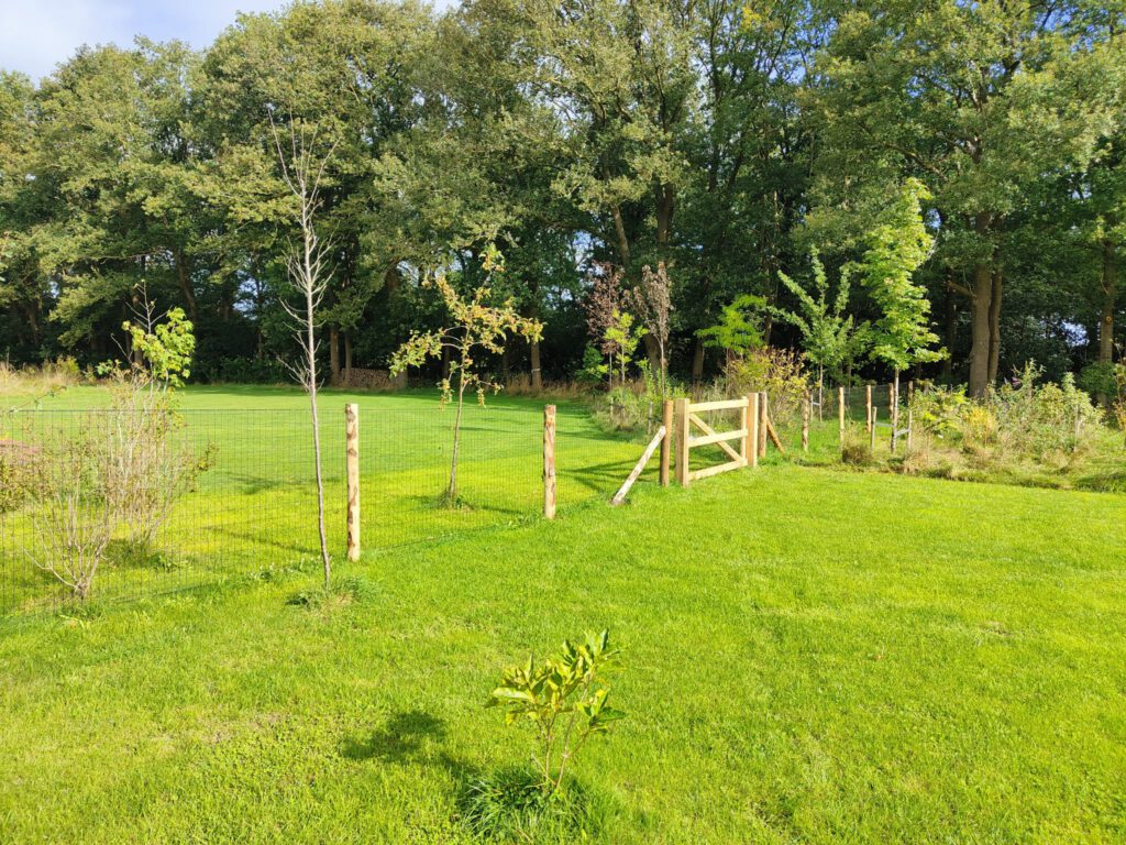 Omheinde groene tuin