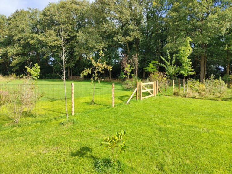 Omheinde groene tuin