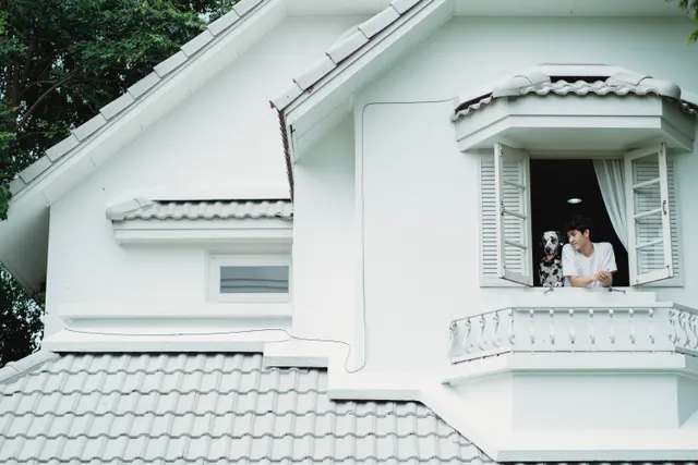 Man en Dalmatiër kijken samen uit een open raam van een wit huis