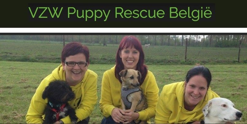 Medewerkers van Puppy Rescue België met honden