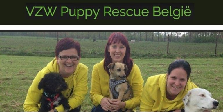 Medewerkers van Puppy Rescue België met honden