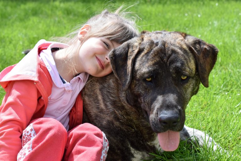 Kind rust met het hoofd tegen een grote hond