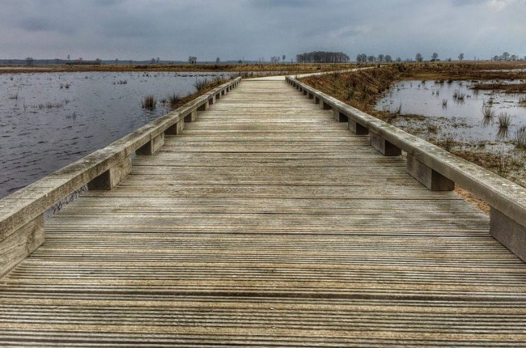 Houten vlonderpad door een natuurgebied