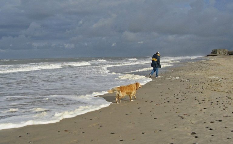 Wandelaar met een hond op het strand