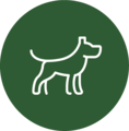 De Nieuwe Hond