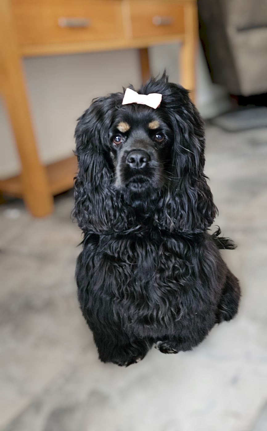 Dolly uit Enschede