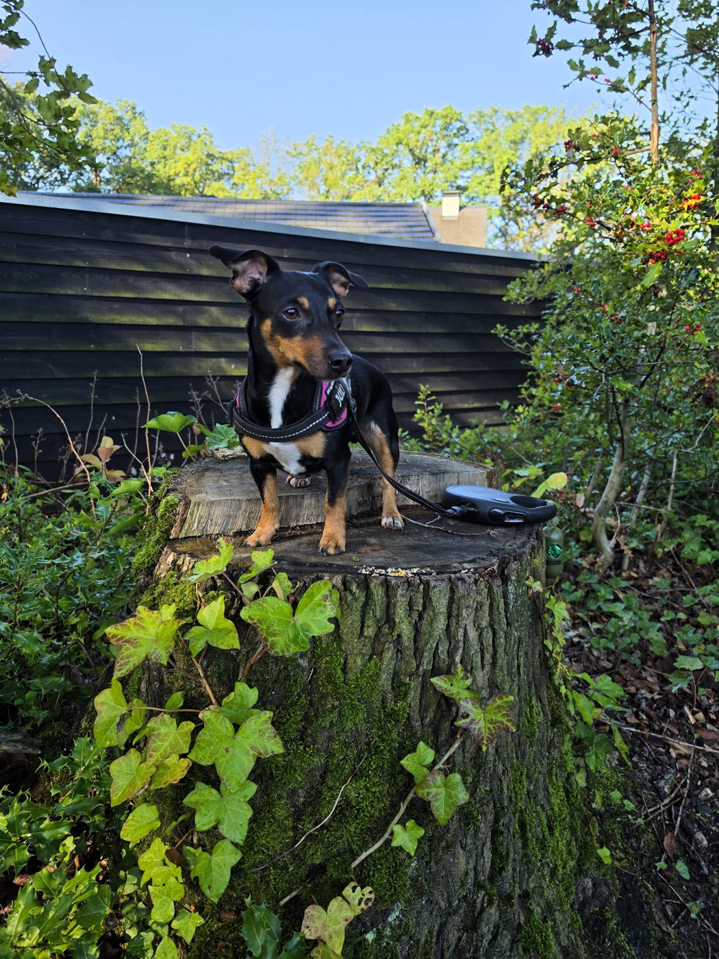 Bella uit Enschede
