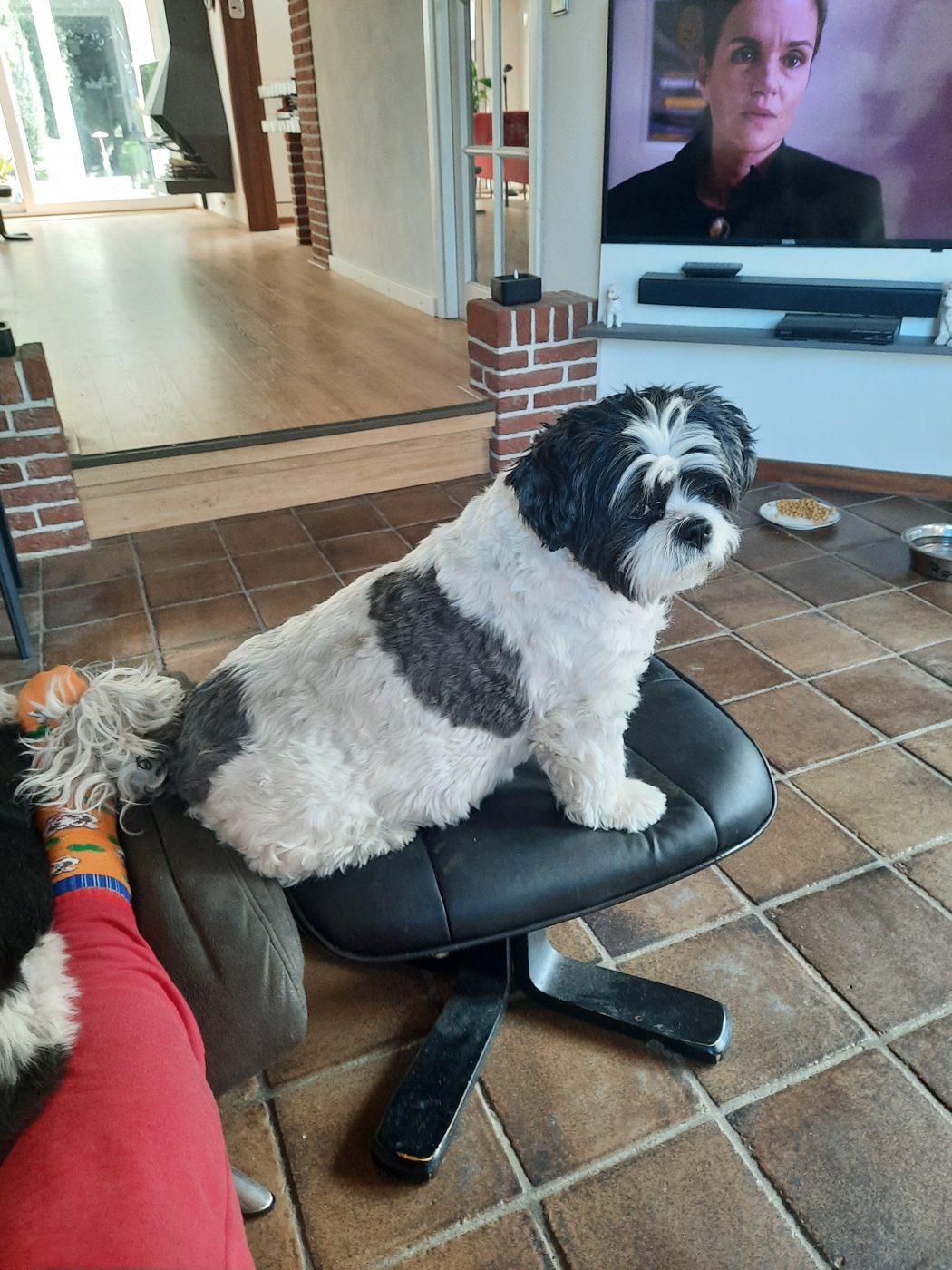 Samson uit Zeist