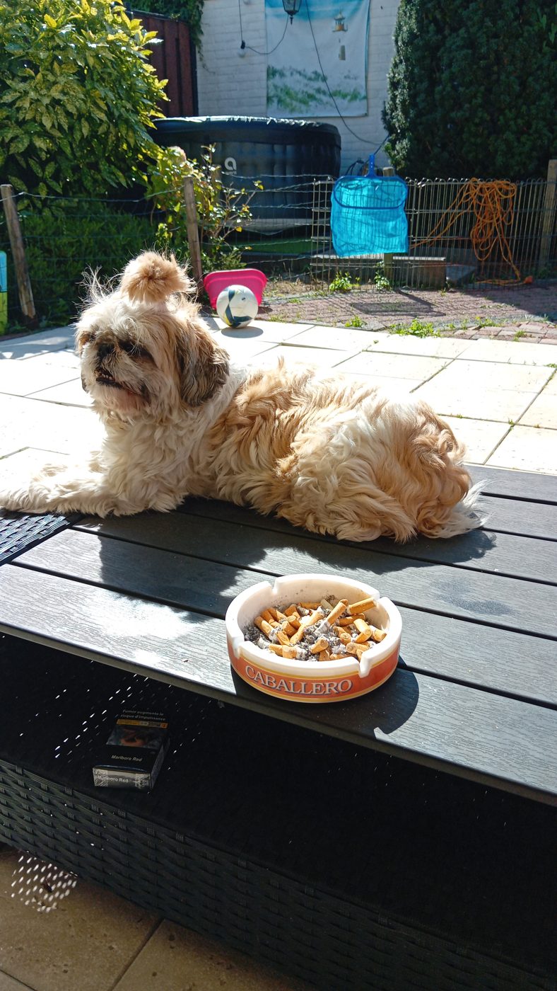 Dewi uit Bovenkarspel