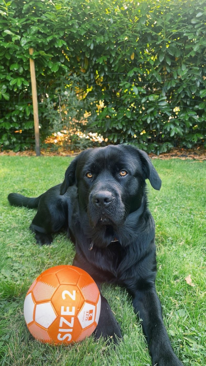 Diego uit Groningen