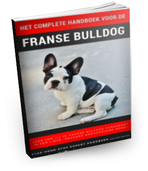 Handboek-voor-de-Franse-bulldog