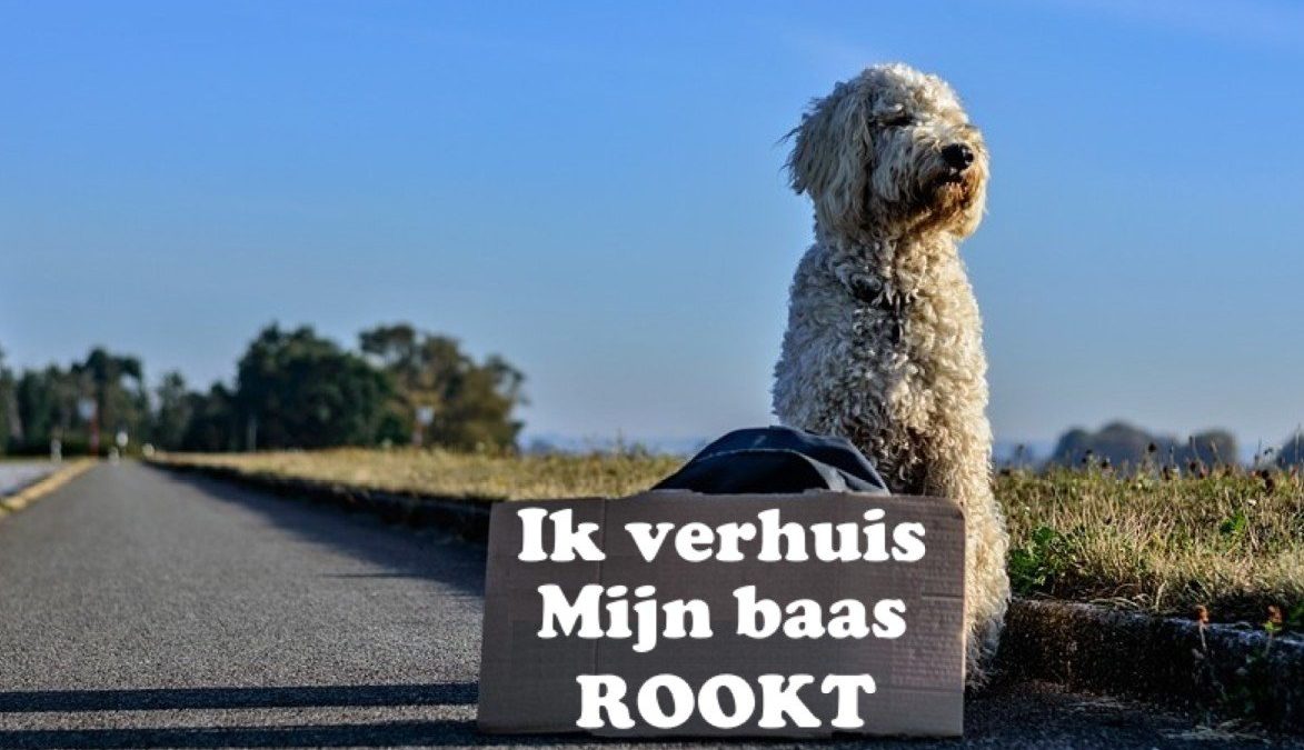 baas-rookt