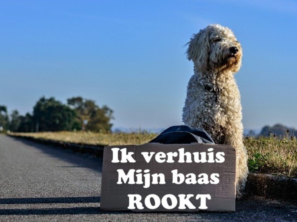 baas-rookt