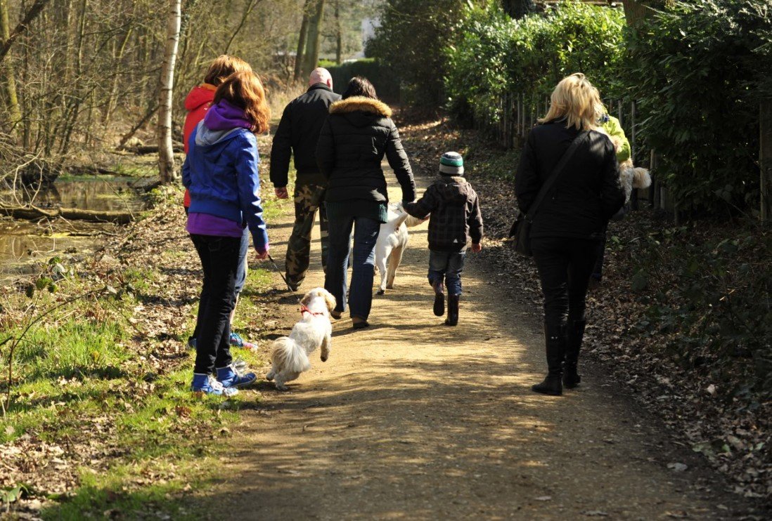 wandelen - boswandeling