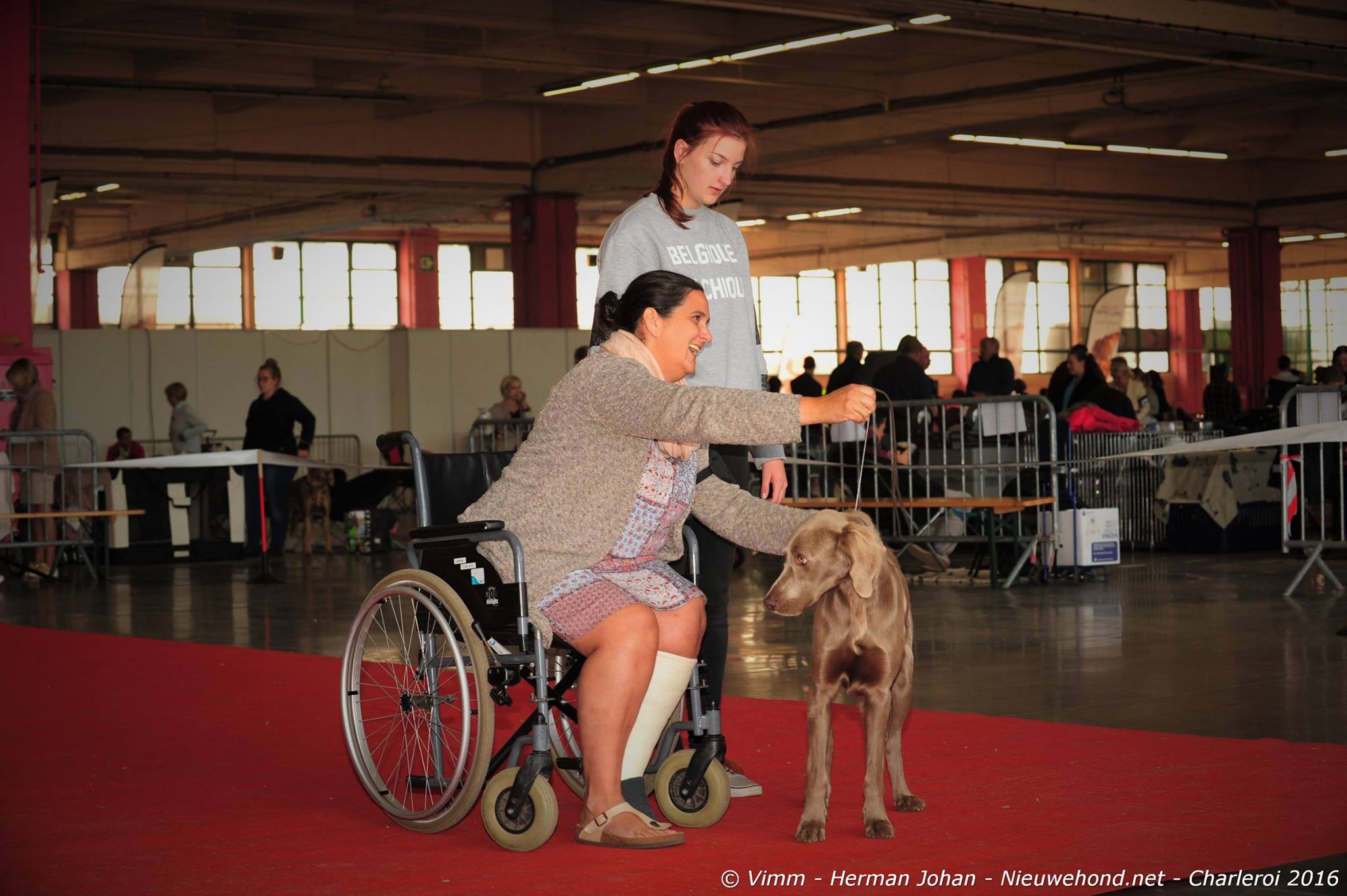 dogshow-nieuwe-hond