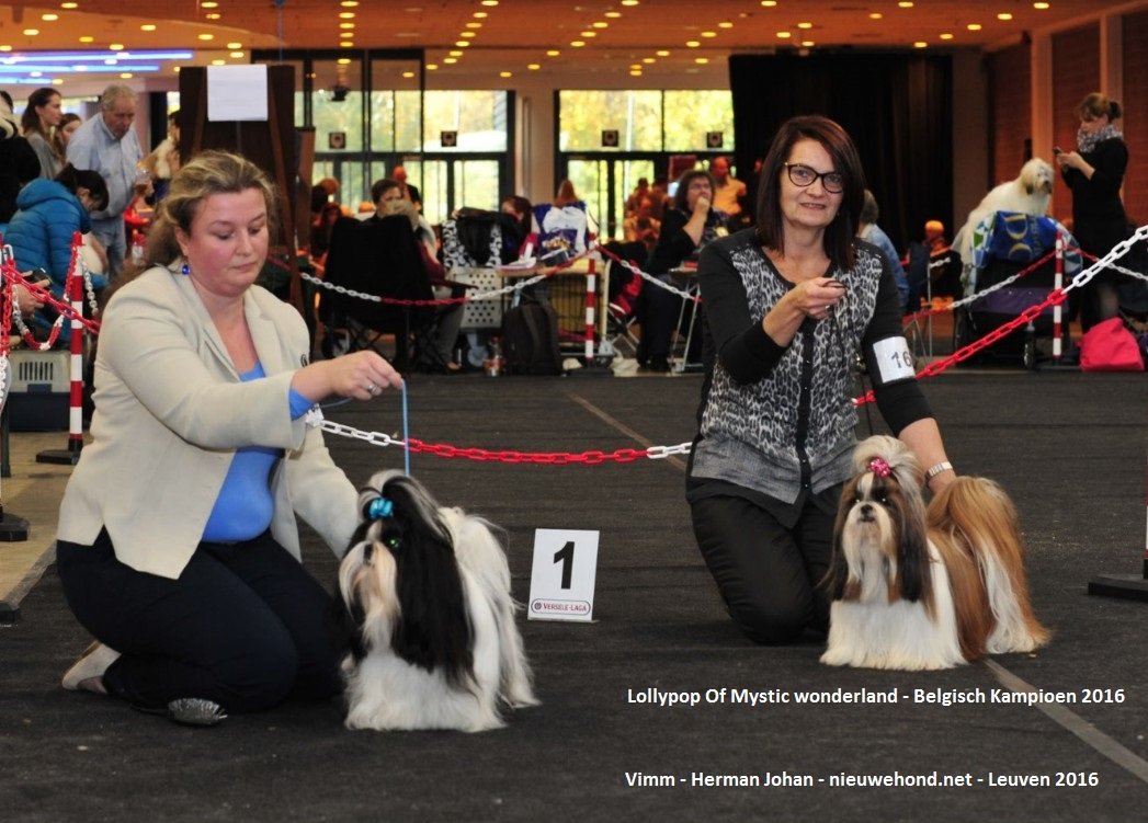 Sfeerfoto's Hondenshow Leuven 2016