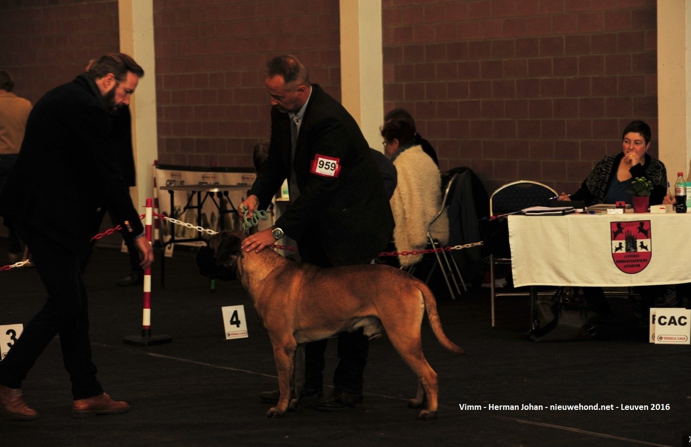 Hondenshow Leuven 2016