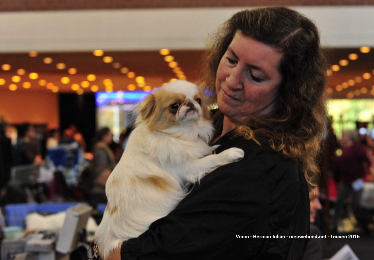 De nieuwe hond - Sfeerfoto's Hondenshow Leuven 2016