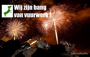 vuurwerk