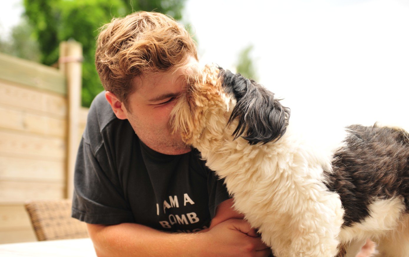 Knuffelen met je hond De Hond