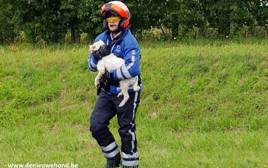 politie redt hondje