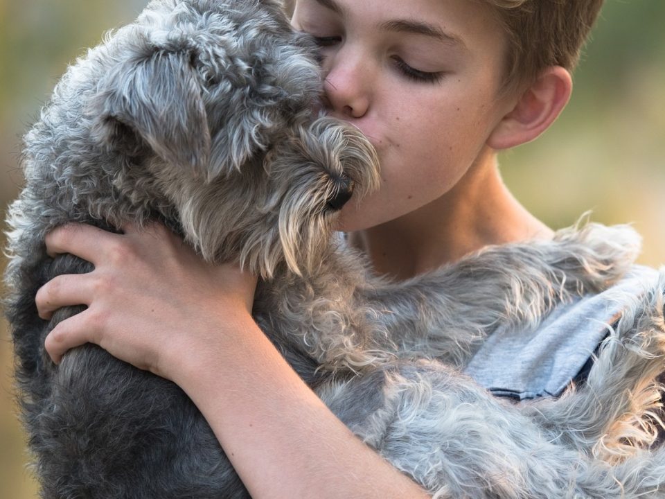 anders denken en anders omgaan het je hond