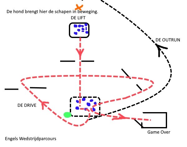 wedstrijdparcours border collie